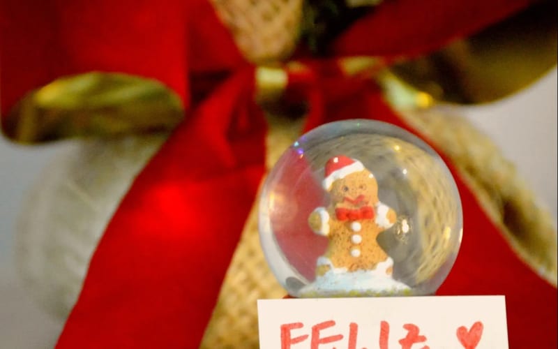 Christmas snow globe with Feliz Navidad sign